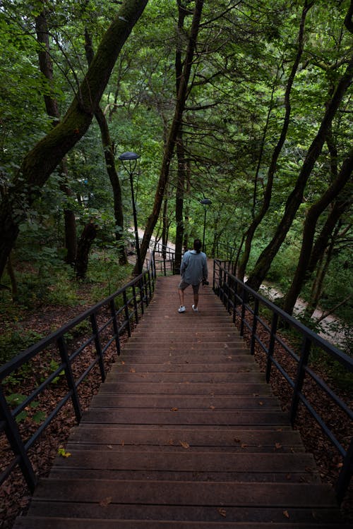 Man with a Photo Camera Walking Down Wooden Stairs in a Park