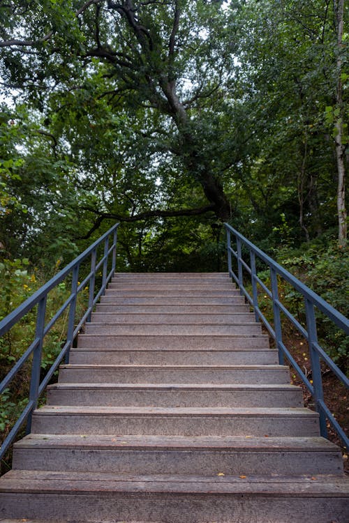 Bottom View of a Staircase in the Park