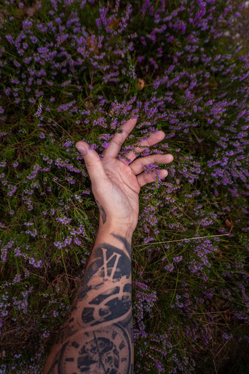 A Person Touching Flowers