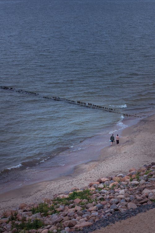 People Walking Along Seashore in Evening