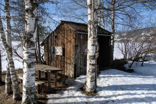 Rustic wooden cabin nestled among birch trees in a snowy winter landscape.