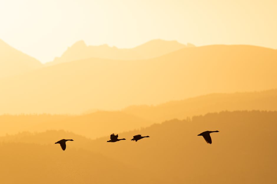 Boulder, USA digital nomad city guide