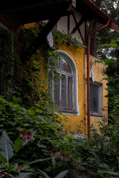 View of an Old House 