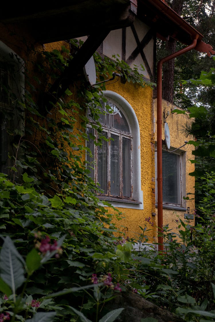 View Of An Old House 