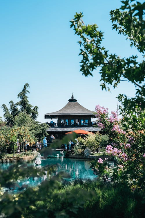 Japanese Garden with Pond
