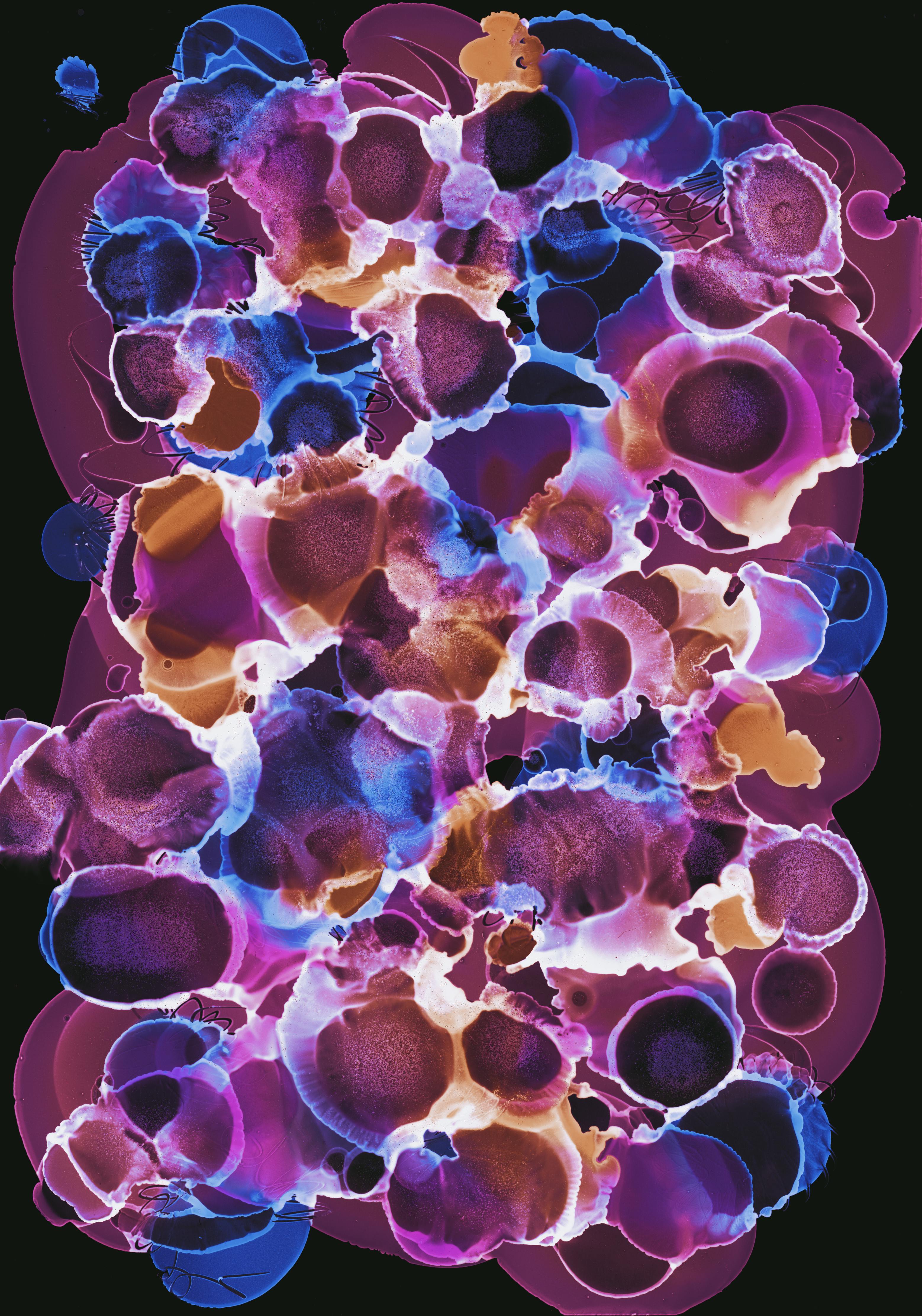 Colorful Abstract Ink Art · Free Stock Photo