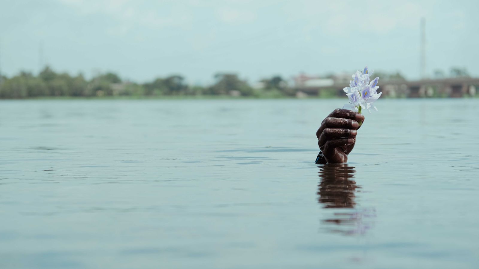 Hand sticking out of river with flower, Ghana