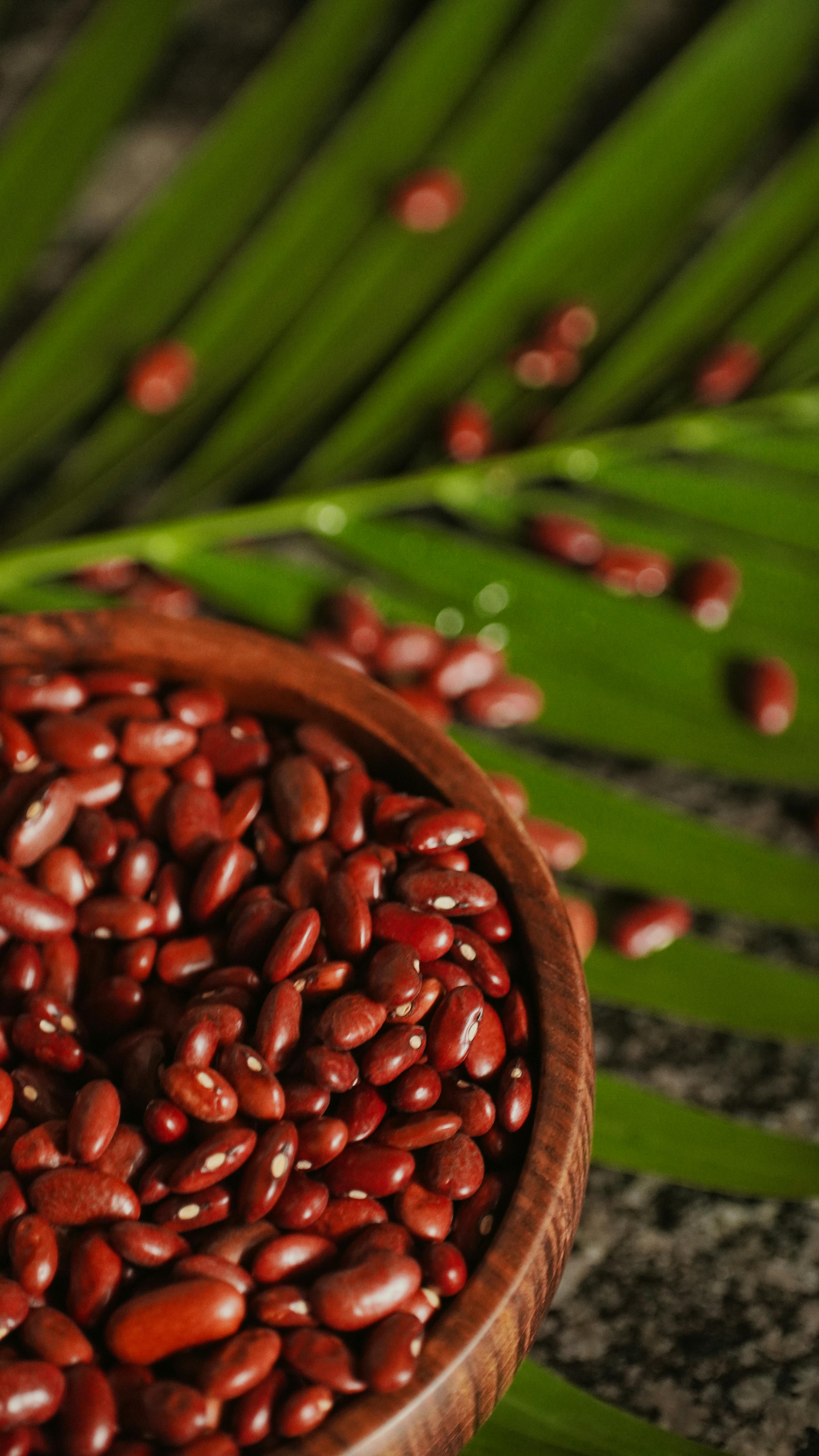 Red Kidney Beans