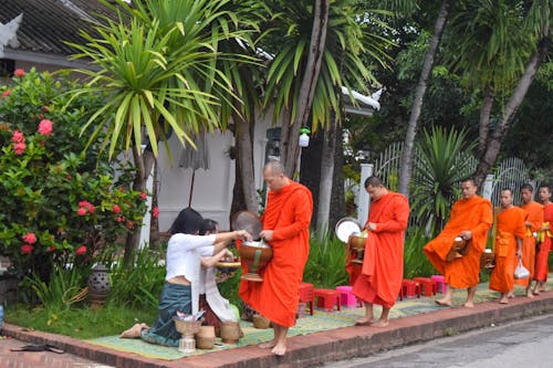 Alms giving ceremony in Luang Prabang,Laos