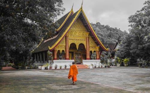 A monk walks to a temple in Luang Prabang