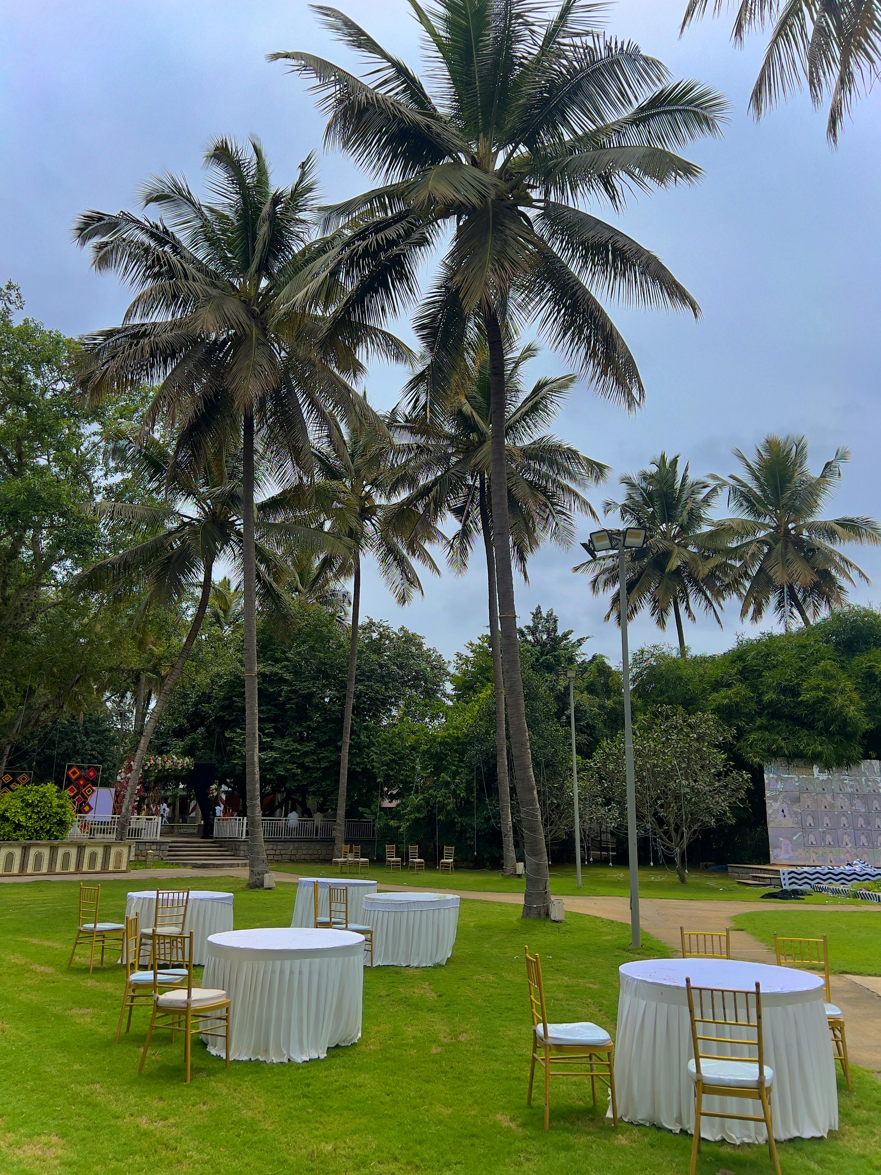 Scenic outdoor venue with palm trees and round tables, ideal for summer events.