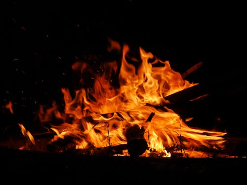 Free stock photo of campfire