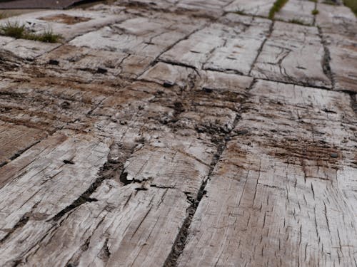 Free stock photo of wood texture