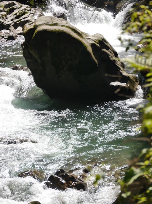 Free stock photo of clear water, fels