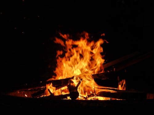 Free stock photo of campfire