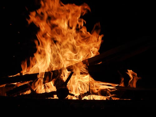 Free stock photo of campfire