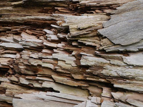 Free stock photo of wood texture