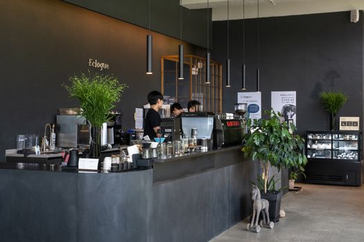Contemporary café interior with baristas working at the counter and lush greenery accents.