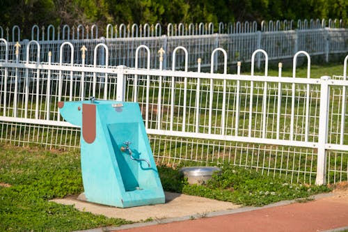 Public Faucet with Water for People and Animals