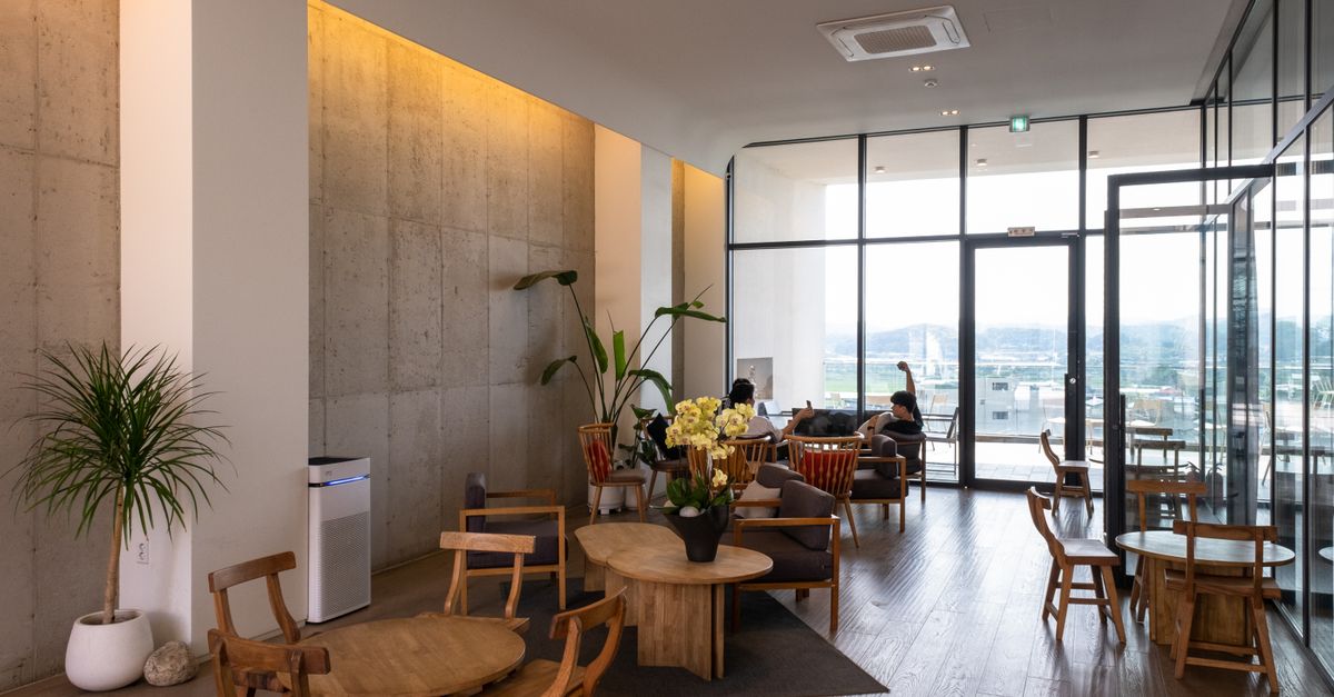 Best Smart Air Purifiers for a Healthier Home