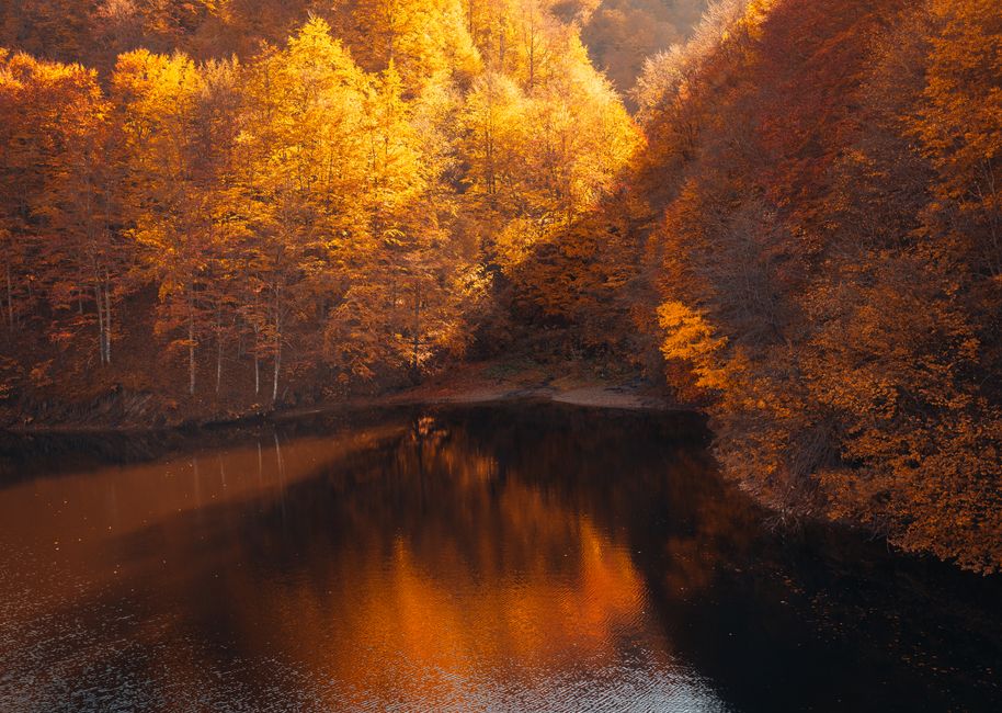 Breathtaking view of autumn foliage reflecting in the serene waters of Tarnița Lake, Romania.