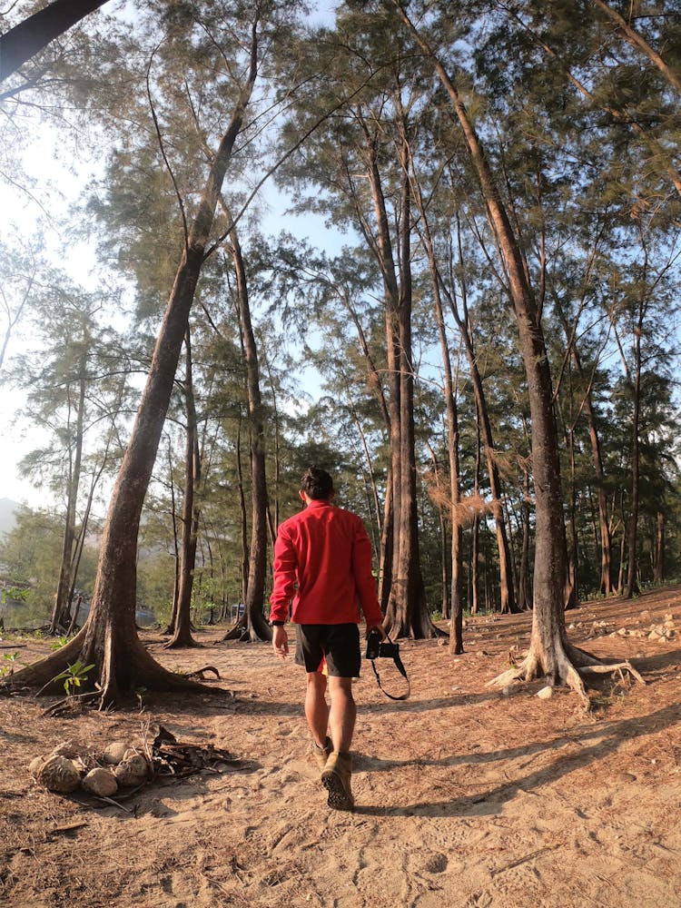 Man With Camera Walking In Forest