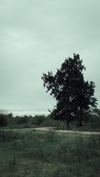 Image by Franco Garcia