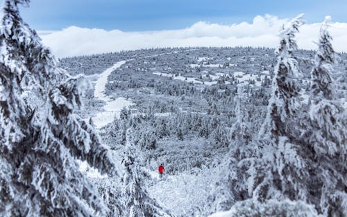 Kostnadsfri bild av avslappnat, berg, bergen