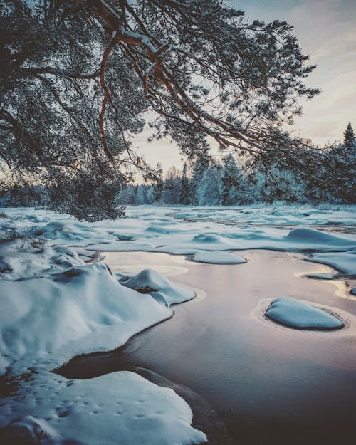 Specchio D'acqua Coperto Di Neve