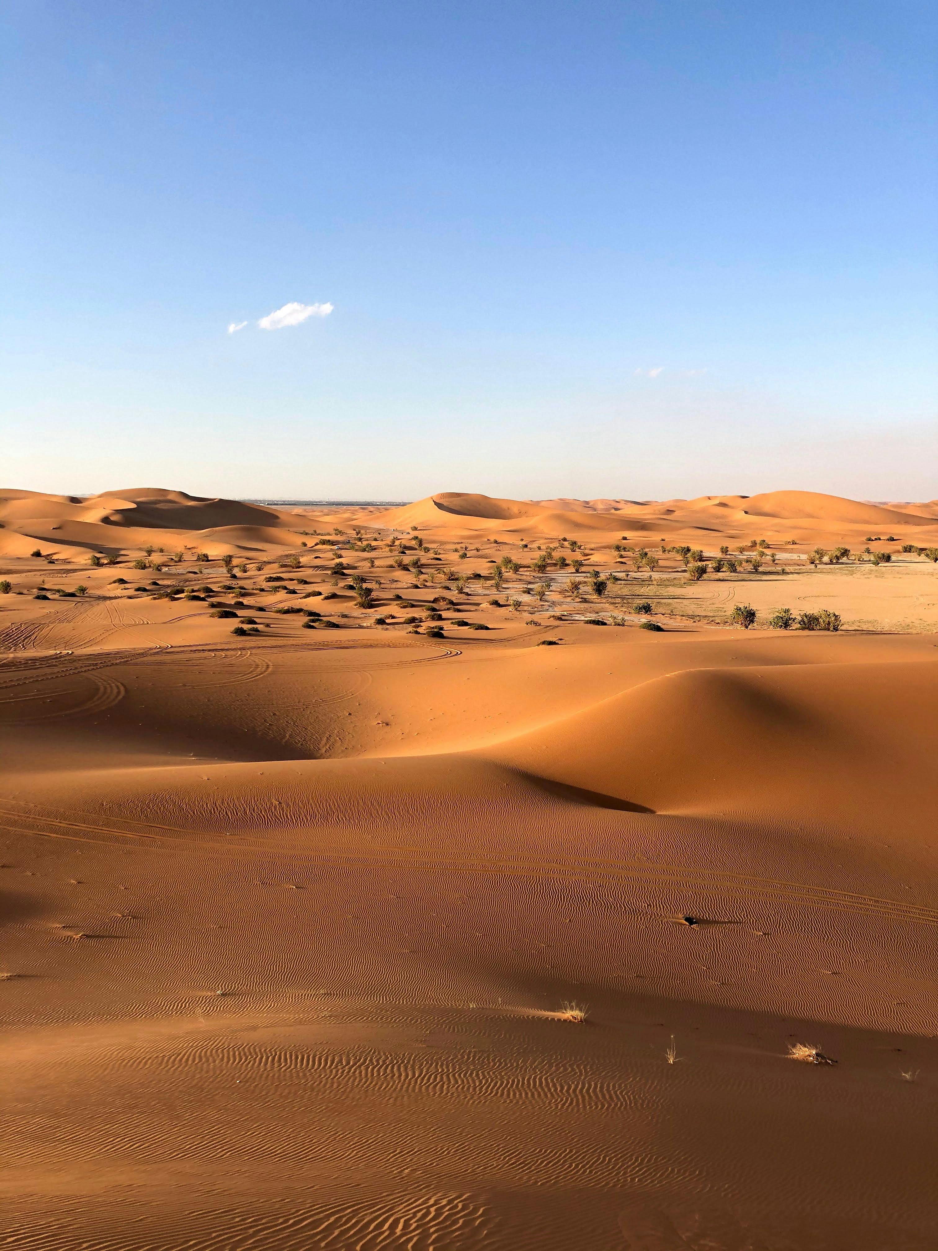 Person In White Shirt Walking On Desert · Free Stock Photo