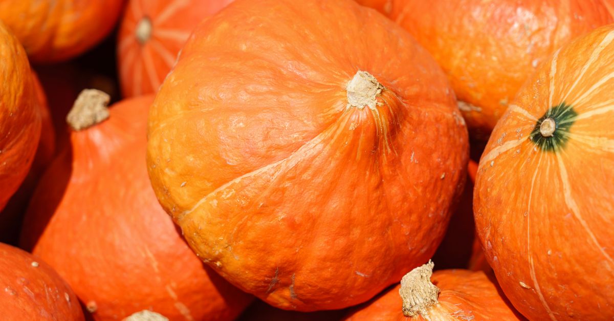 Close-up of bright orange pumpkins clustered together, capturing the essence of fall harvest.
