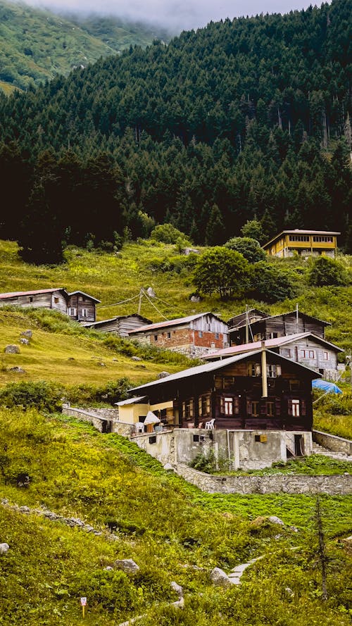 Cottages on Steep Grassy Slope in Mountains 