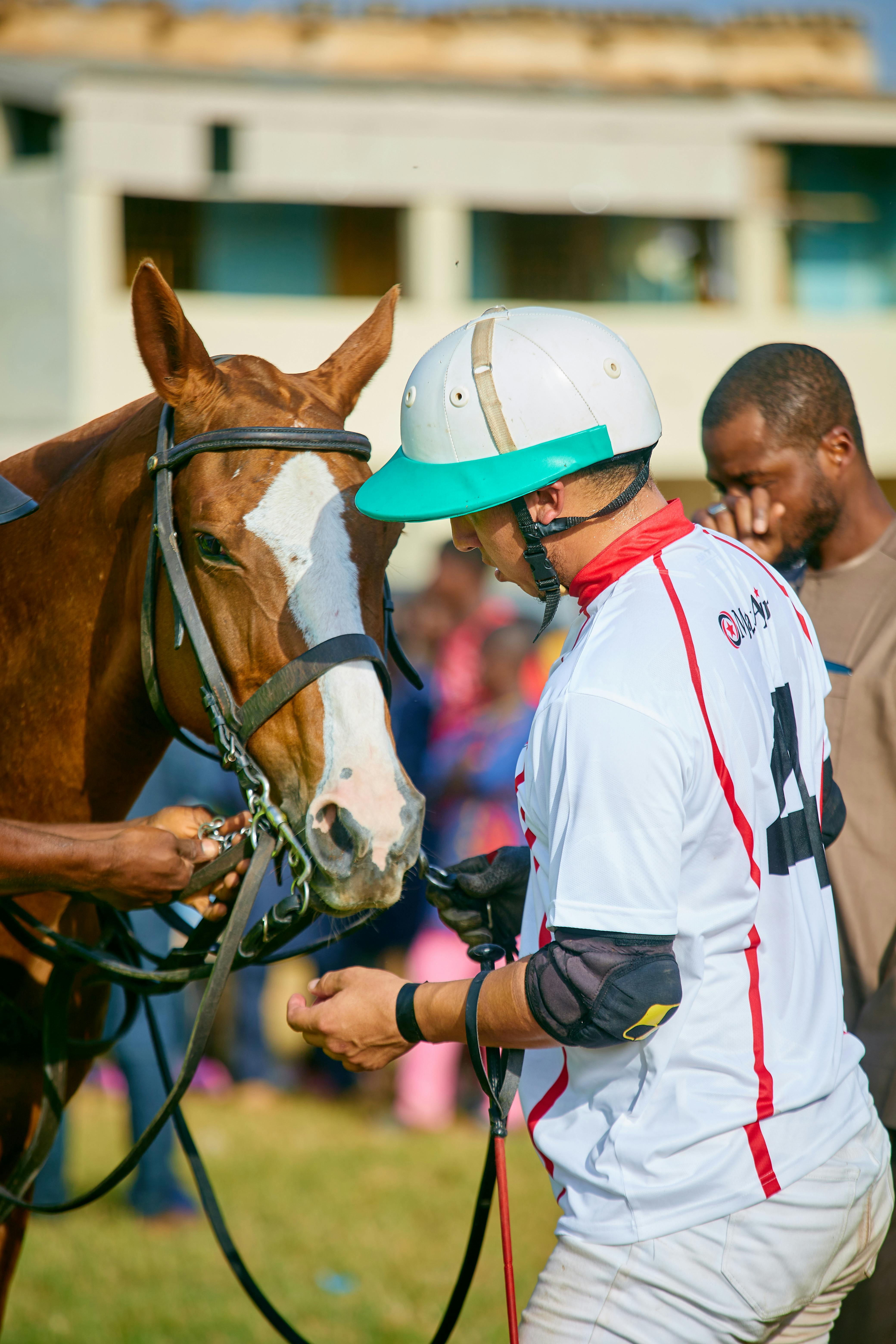 Página 27  Cavalo De Corrida Velocidade Imagens – Download Grátis