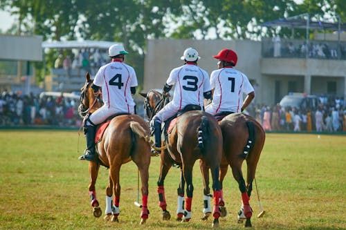 Back View of People Playing Polo 