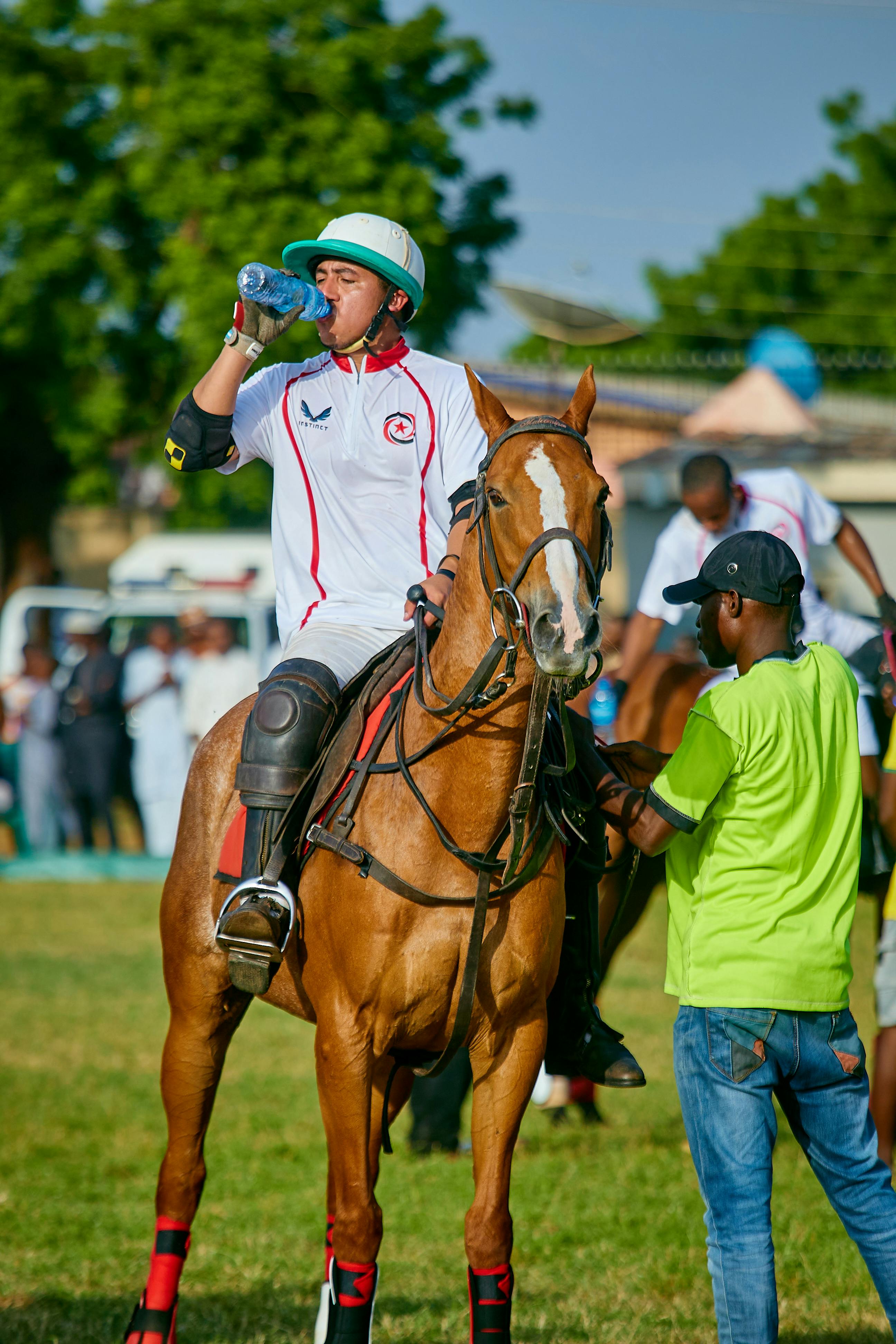 2.900+ Corrida De Obstáculos Corrida De Cavalos Fotos fotos de