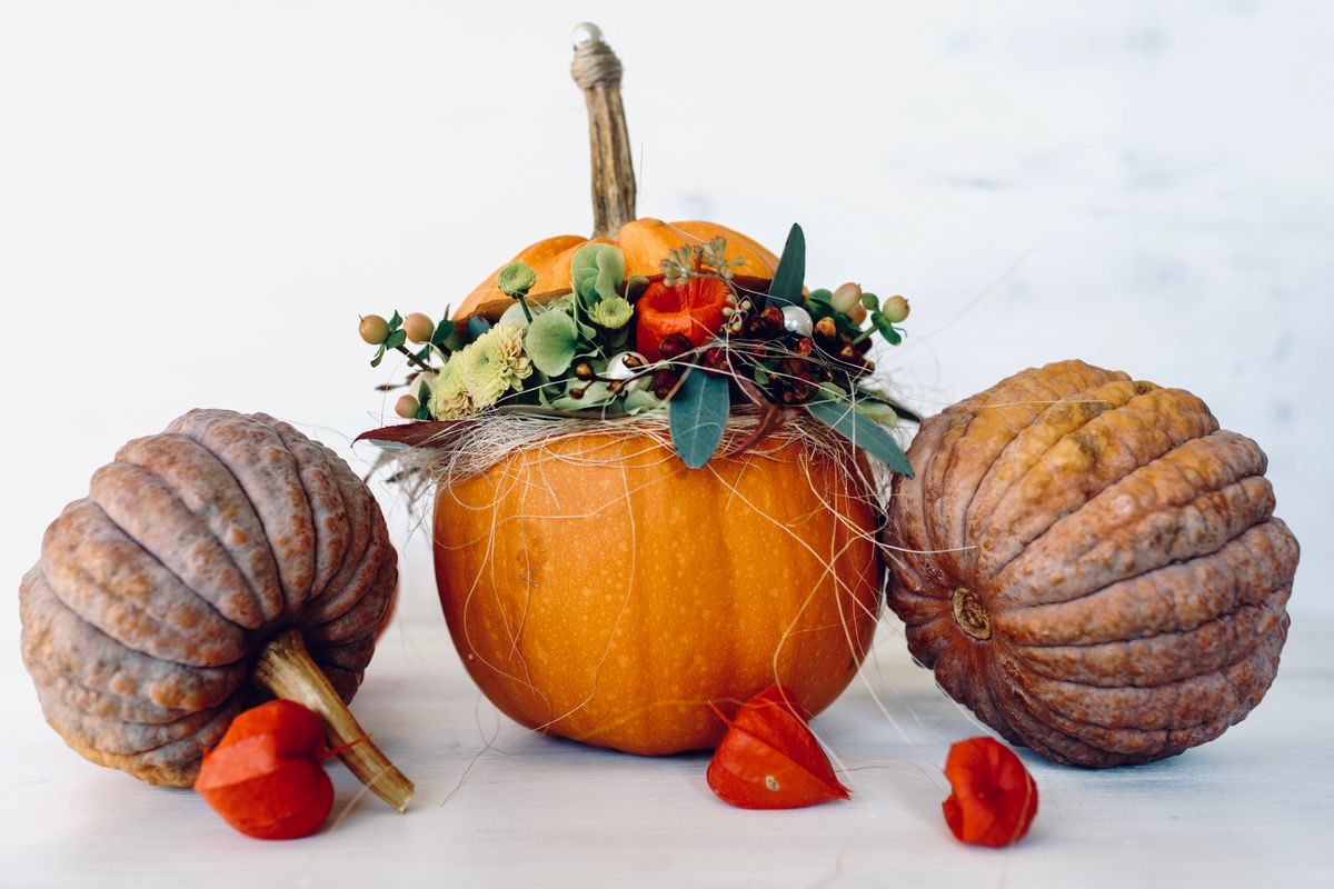 Beautiful decorative arrangement of pumpkins and gourds with vibrant fall foliage capturing the essence of autumn. Stock Photo.
