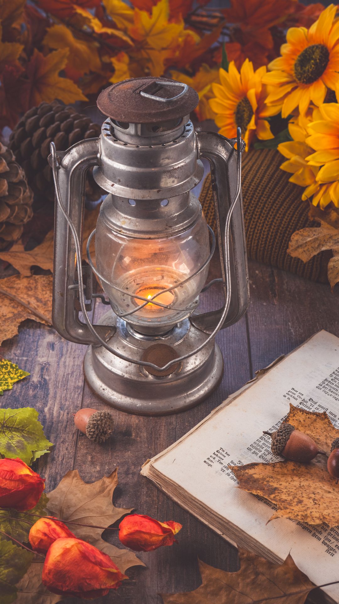 Rustic lantern surrounded by autumn leaves sunflowers and an open book wallpaper