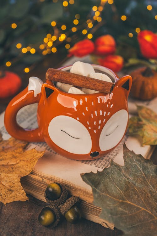 Cinnamon and Marshmallows in Adorable Mug 