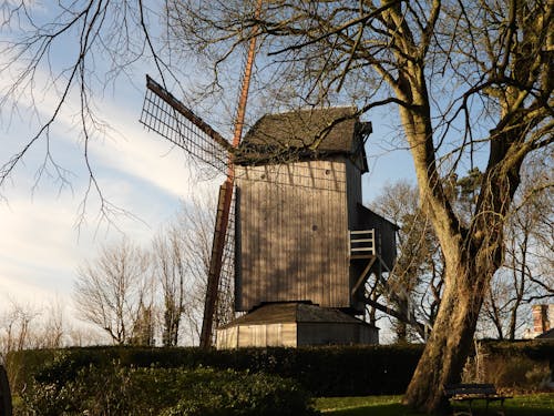 Gratis stockfoto met boom, gebouw, houten