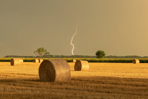 A Lightning above a Field with Hay Bales 