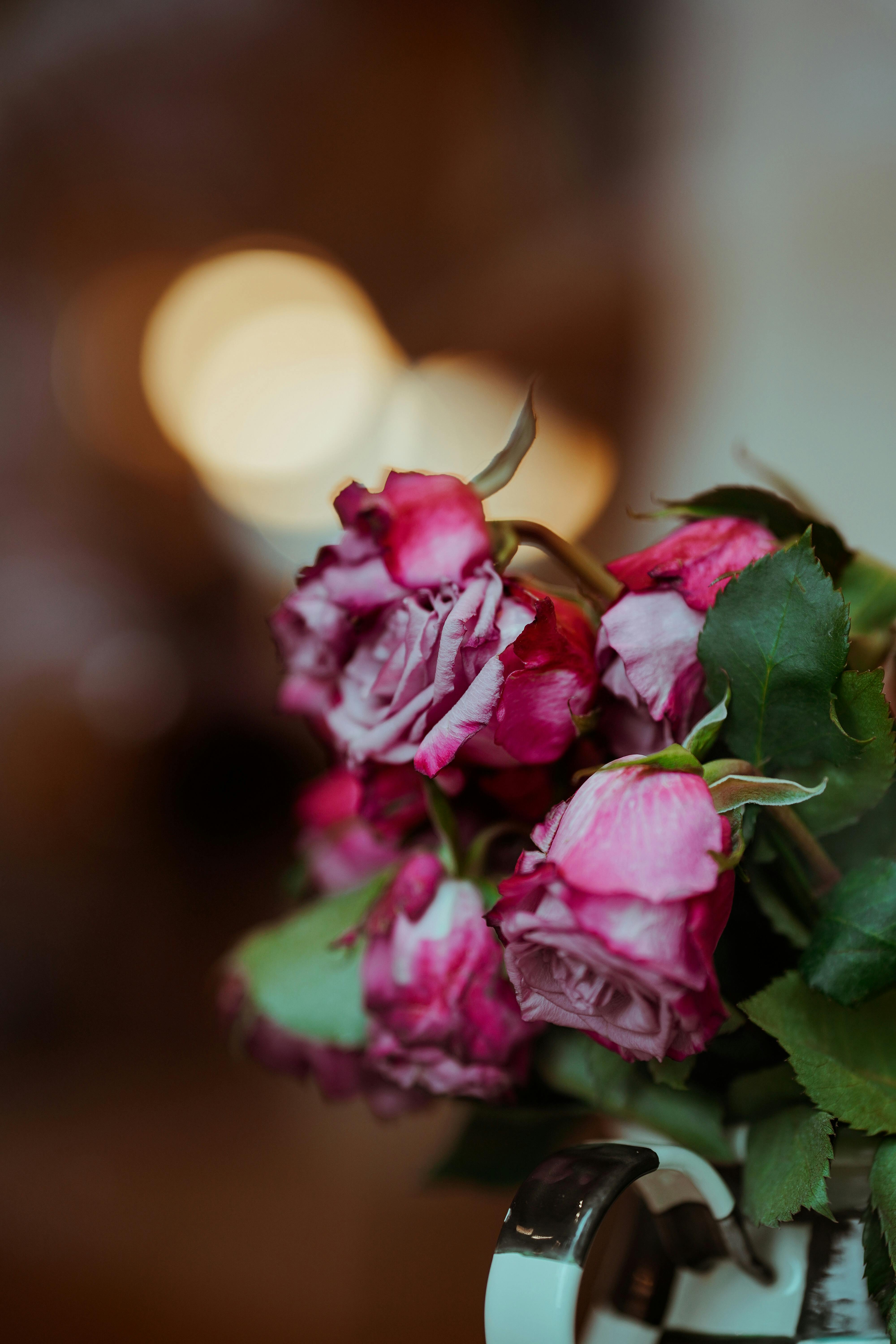 Drying Roses in Vase · Free Stock Photo