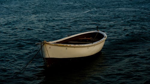 Бесплатное стоковое фото с веревка, водный транспорт, лодка