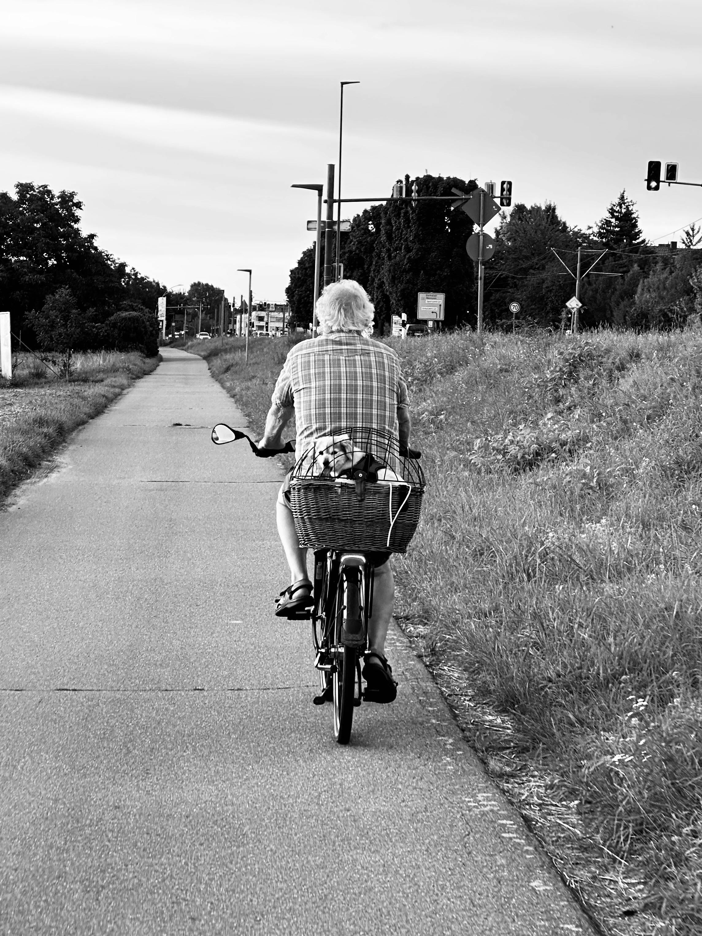 elderly man cycling with dog in basket