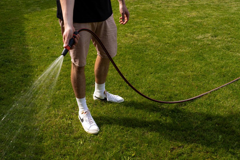 Gardener watering a maintained lawn with a hose