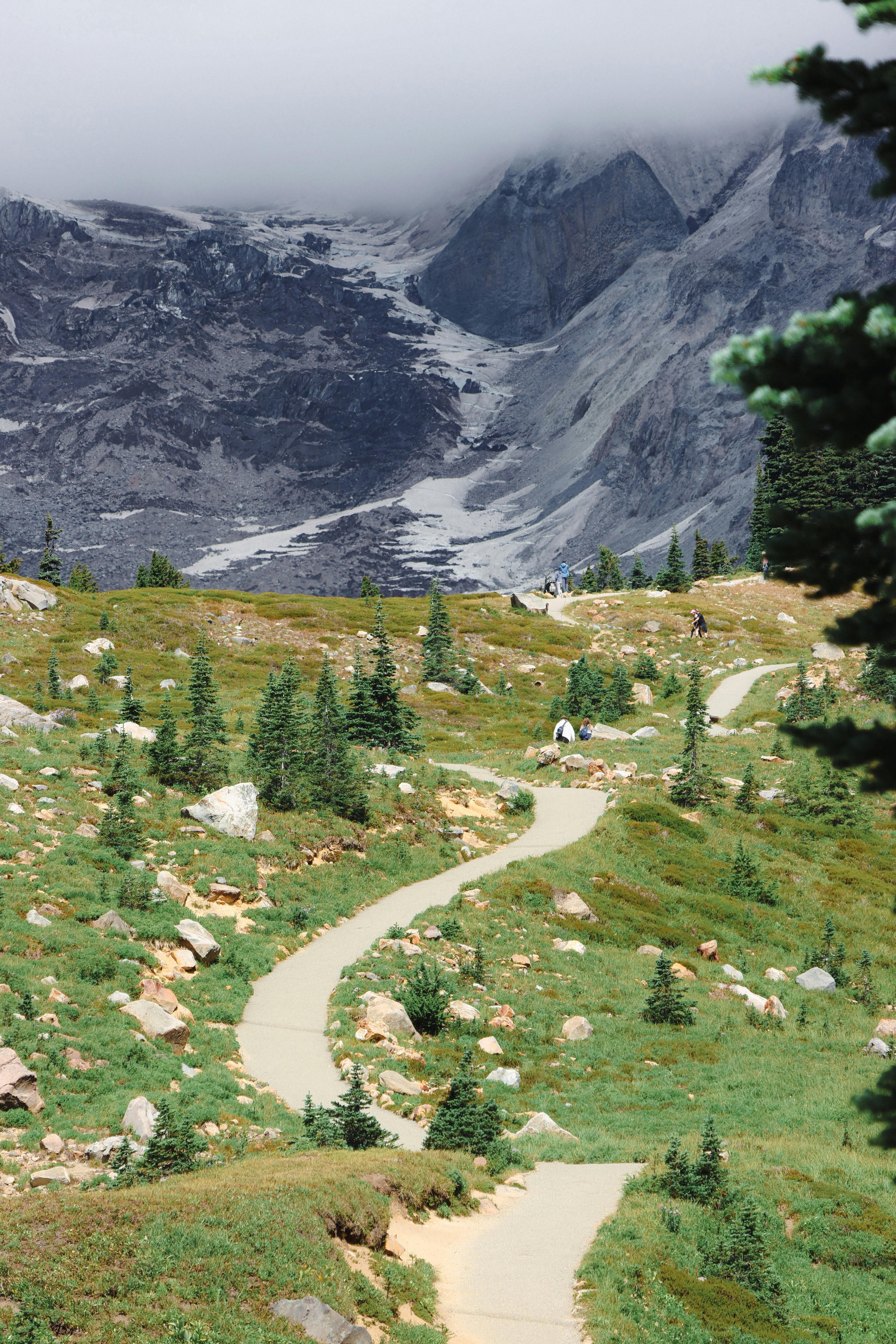 Explore the serene path winding through the lush Washington landscape with majestic mountains.