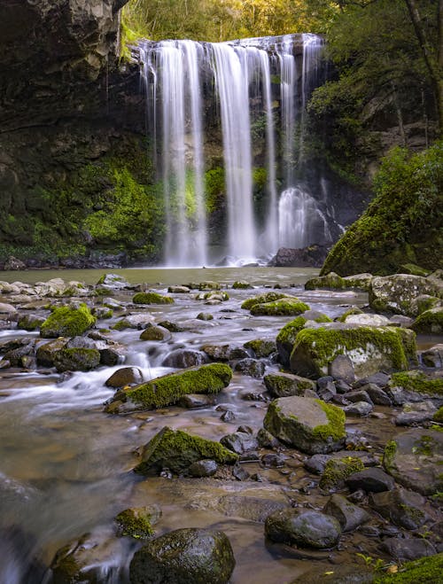 Ilmainen kuvapankkikuva tunnisteilla brasilia, grutao ecoparque, joki