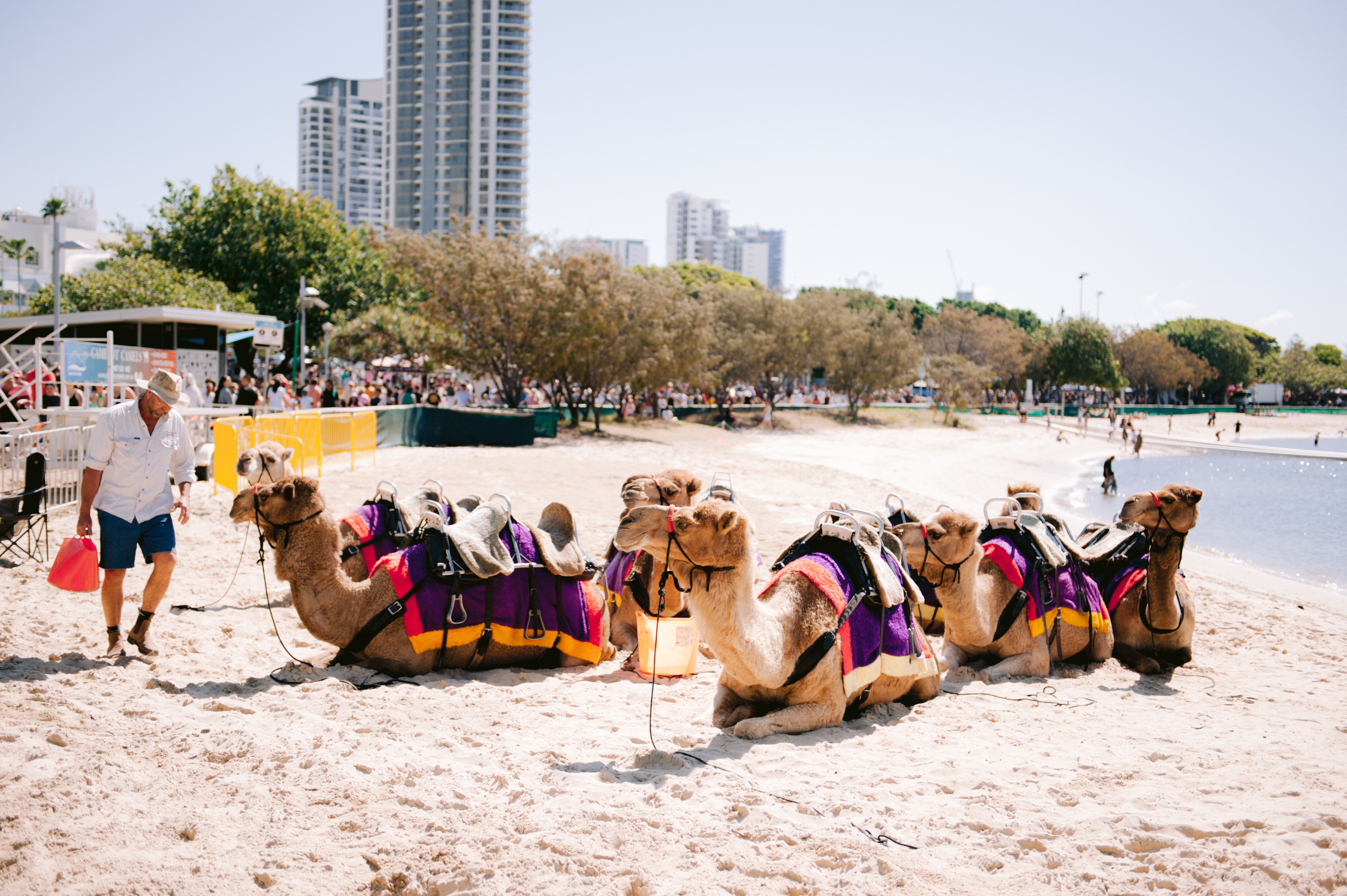 gifs-tourists-activities-on-beaches-photos-download-the-best-free-gifs