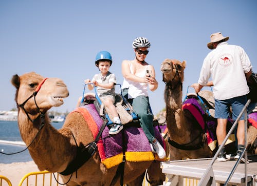 Tourists Riding on a Camel 