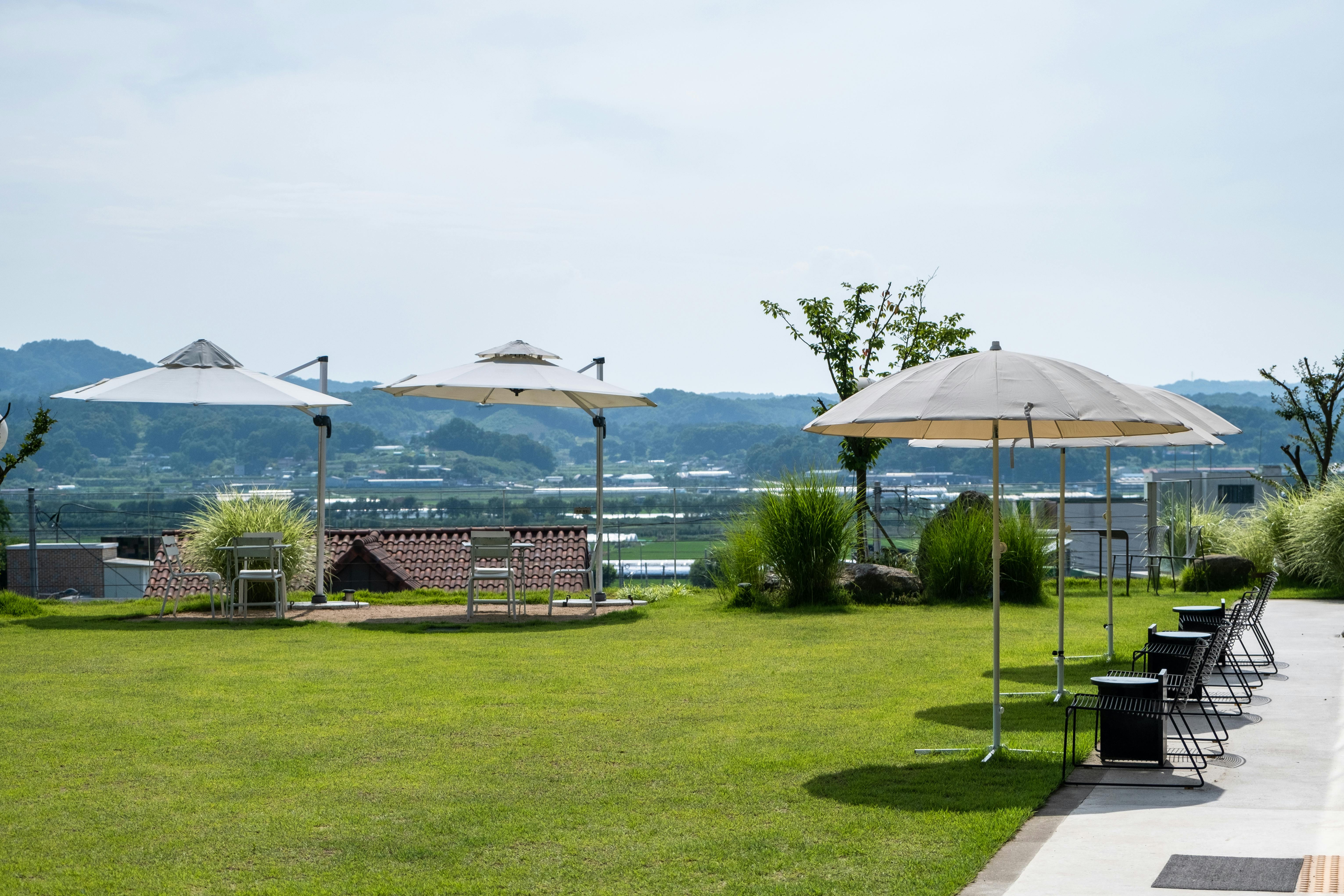 Best Patio Umbrellas of 2026