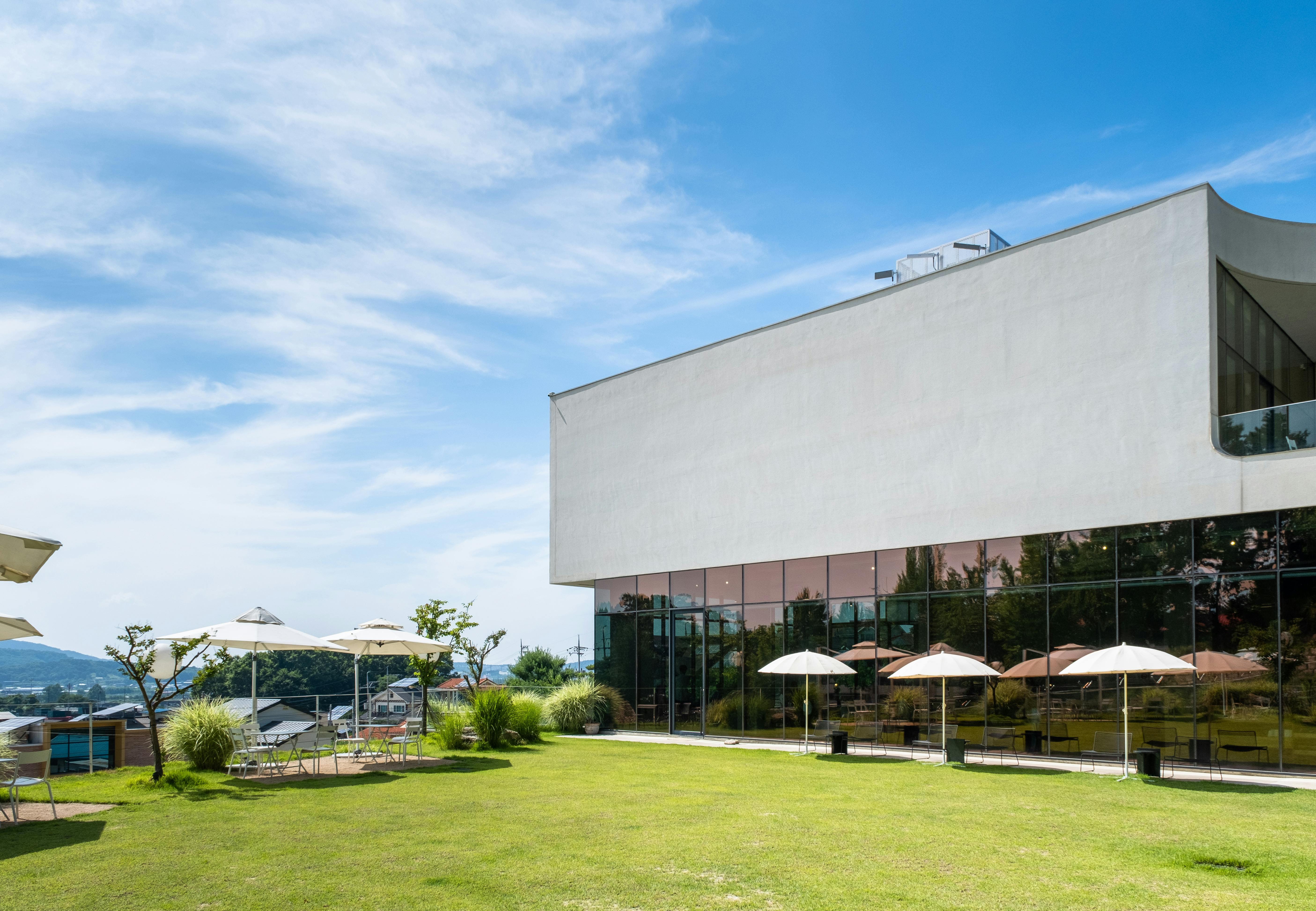 Modern lawn